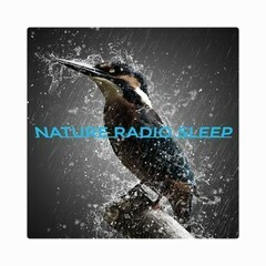 Nature Radio Sleep logo