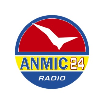 Anmic 24