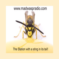 Mad Wasp Radio