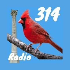 314 Bird Radio logo