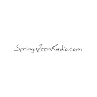 Springsteen Radio