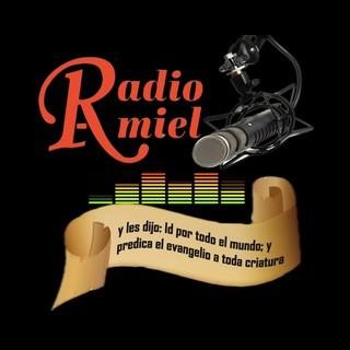 Radio Amiel logo
