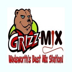 Grizz-Mix 93.5 FM