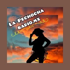 La Pechocha Radio logo