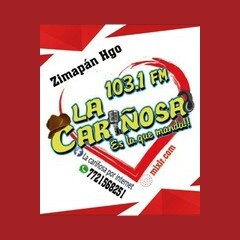 La Cariñosa Radio de Zimapan logo