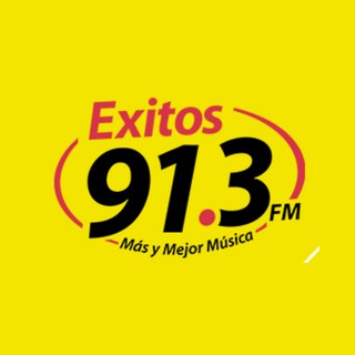 Exitos 91.3 FM logo