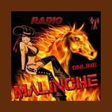 Radio Malinche Online logo