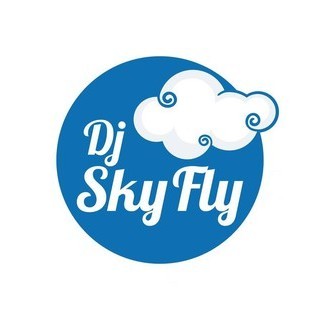 RADIO SKYFLY