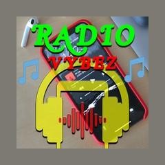 Radiovybez logo