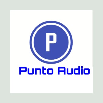 Punto Audio logo