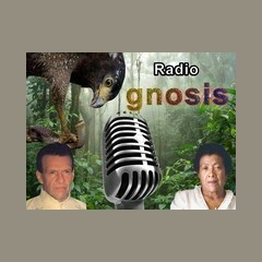 Radio Gnosis logo