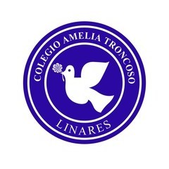 Colegio Amelia Troncoso