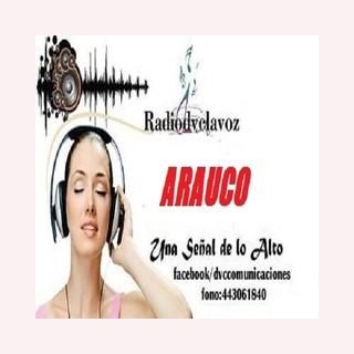 RADIODVC ARAUCO