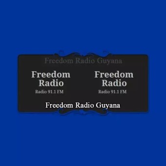 Freedom Radio 91.1 FM logo