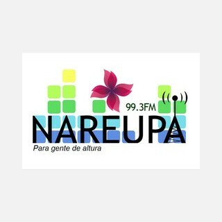 Nareupa 99.3 FM logo