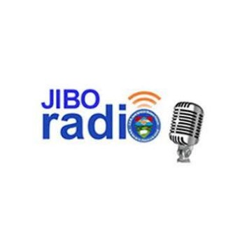 Jibo Radio