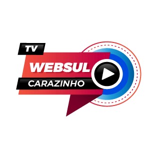 Radio Tv Web Sul logo
