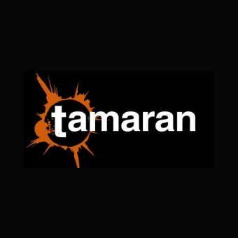 Radio Tamaran FM 91.3 logo