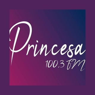 Rádio Princesa FM 100.3 logo