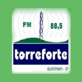 Torre Forte logo