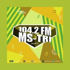 MS Tri FM 104.2 logo