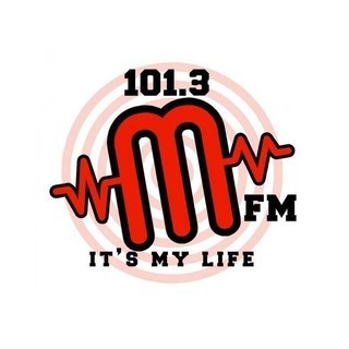 101.3 MFM