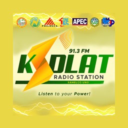 Radyo Kidlat 91.3 FM logo