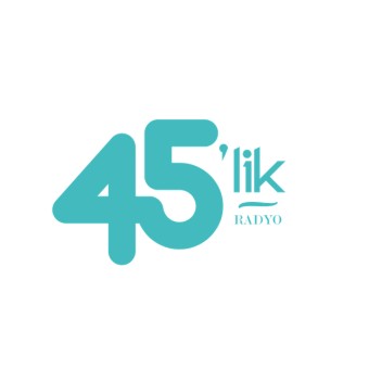 45 Lik logo