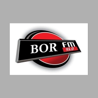 Bor FM 95.0 logo