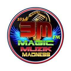 3MFM logo
