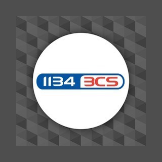 1134 3CS logo