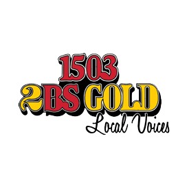 2BS Gold 1503 AM logo