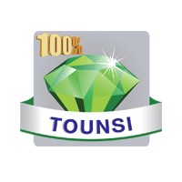 100% TOUNSI WEB RADIO