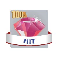 100% HIT WEB RADIO