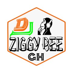 Dj Ziggy Bee Pro logo