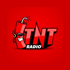 TNT Travnik logo